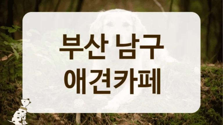 부산 남구 숲세권 힐링 애견카페 방문 후기 부산 남구 숲세권 힐링 애견카페 방문 후기