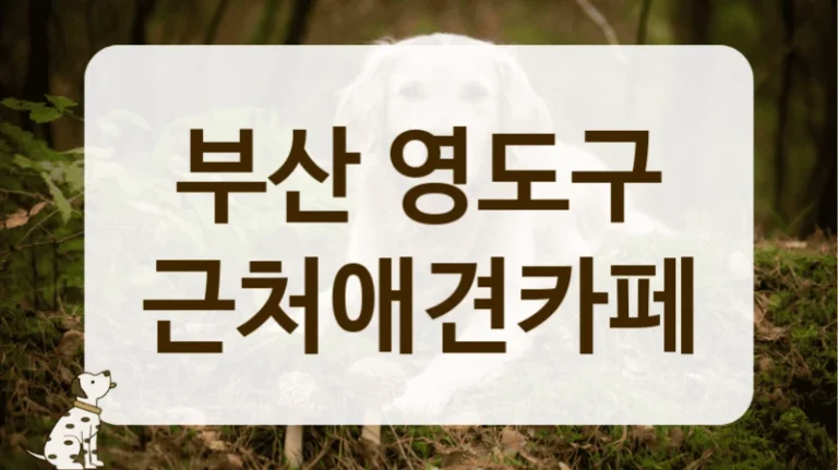 부산 영도구 사장님이 친절한 애견카페 리스트 안내