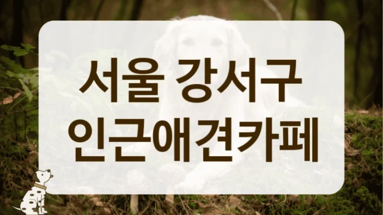 서울 강서구 동물등록증 확인 애견카페 안내 서울 강서구 동물등록증 확인 애견카페 안내