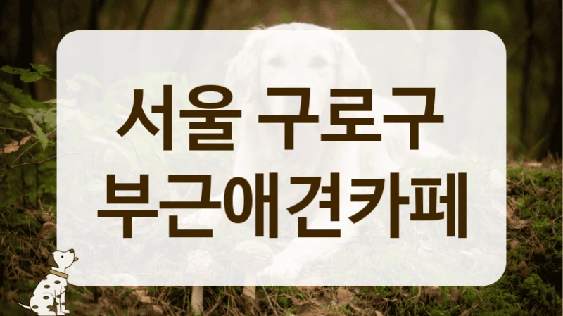 구로구 우리 동네 깨끗한 애견카페 이용안내 구로구 우리 동네 깨끗한 애견카페 이용안내