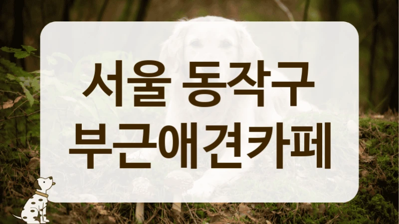 서울 동작구 사장님이 친절한 애견카페 리스트 안내 서울 동작구 사장님이 친절한 애견카페 리스트 안내