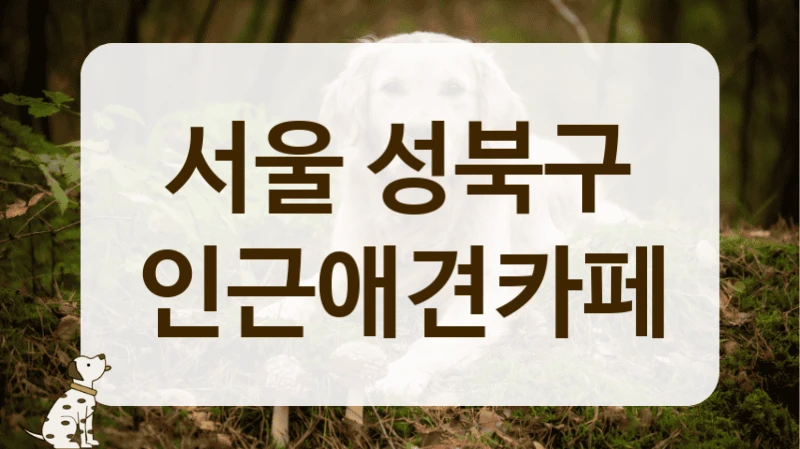 서울 성북구 애견카페 위치 및 운영시간 한눈에 보기 서울 성북구 애견카페 위치 및 운영시간 한눈에 보기