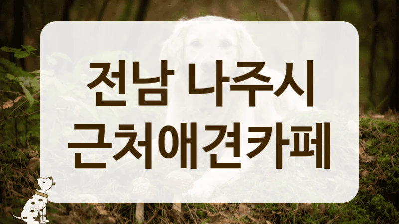 전남 나주시 감성 가득한 강아지 카페 추천