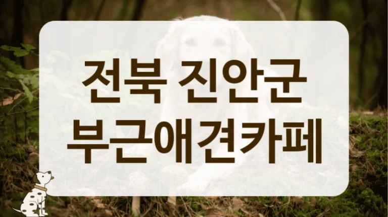 전북 진안군 동물등록증 확인 애견카페 안내