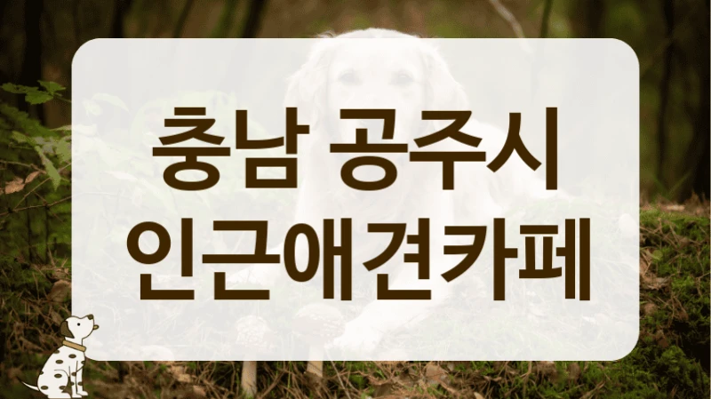 충남 공주시 감성 가득한 애견카페 어디가 좋을까?