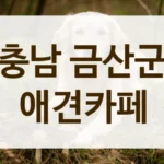 충남 금산군 커피가 맛있는 애견카페 정보