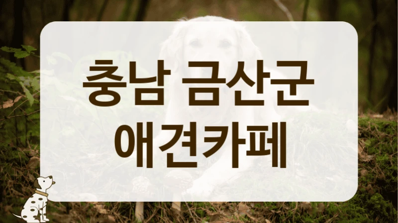 충남 금산군 커피가 맛있는 애견카페 정보