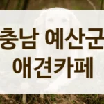 충남 예산군 강아지 처음 키운다면, 애견카페 에티켓