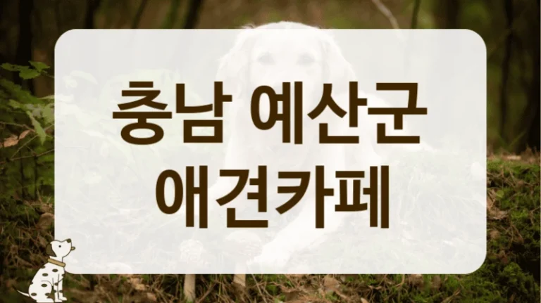 충남 예산군 강아지 처음 키운다면, 애견카페 에티켓