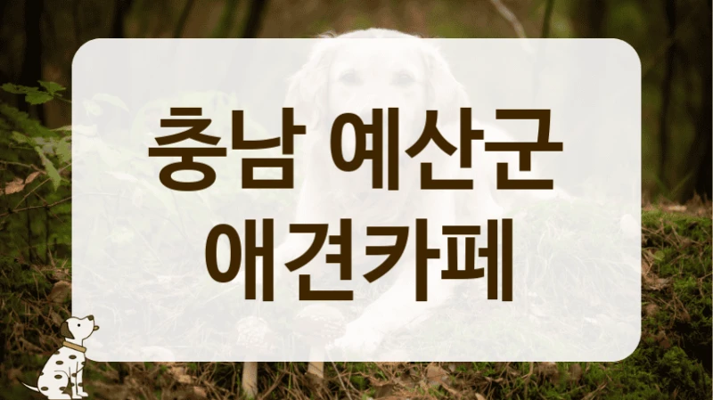 충남 예산군 강아지 처음 키운다면, 애견카페 에티켓