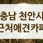 충남 천안시 주차 편한 애견카페 정보