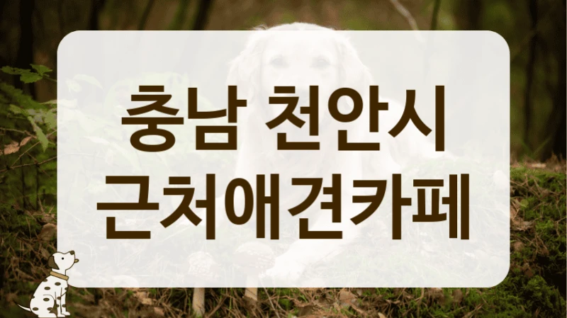 충남 천안시 주차 편한 애견카페 정보