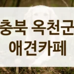 충북 옥천군 숲세권 힐링 애견카페 리스트