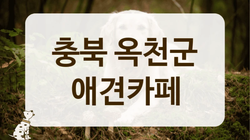 충북 옥천군 숲세권 힐링 애견카페 리스트