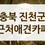 충북 진천군 커뮤니티에서 유명한 애견카페