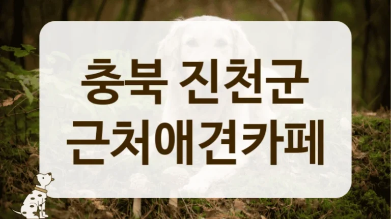 충북 진천군 커뮤니티에서 유명한 애견카페 충북 진천군 커뮤니티에서 유명한 애견카페