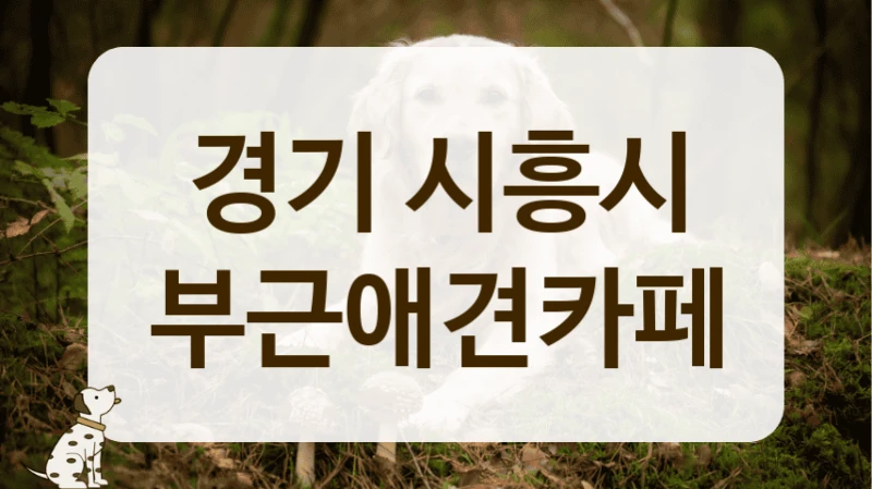 경기 시흥시 브런치 맛집 애견카페 안내