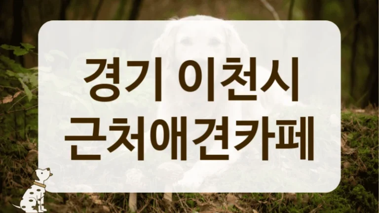 경기 이천시 분위기 좋은 카페, 데이트 코스 추천