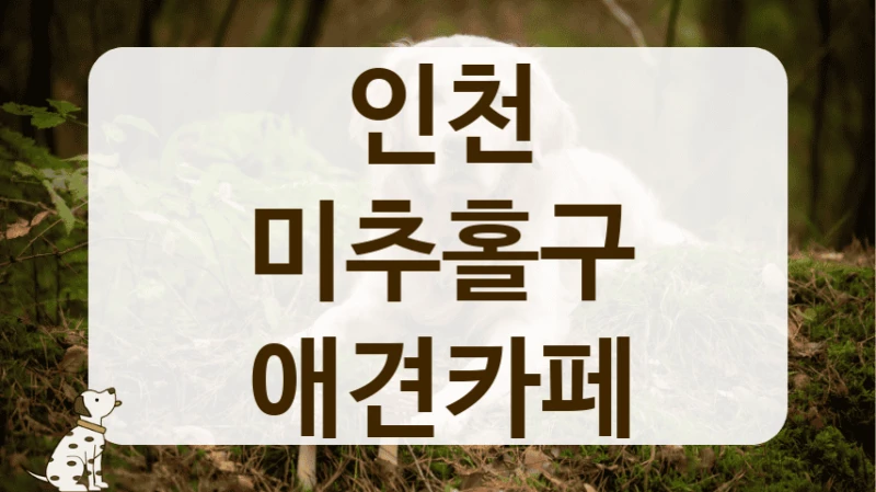 인천 미추홀구 초보 견주라면, 애견카페 필수 정보 인천 미추홀구 초보 견주라면, 애견카페 필수 정보