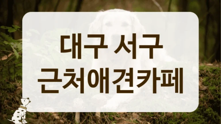 대구 서구 동물등록증 확인 애견카페 위치 대구 서구 동물등록증 확인 애견카페 위치