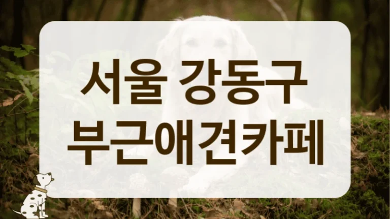 강동구 신뢰할 수 있는 반려동물 전문 카페 정보