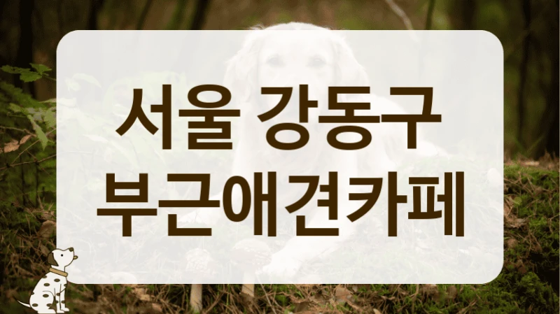 강동구 신뢰할 수 있는 반려동물 전문 카페 정보 강동구 신뢰할 수 있는 반려동물 전문 카페 정보