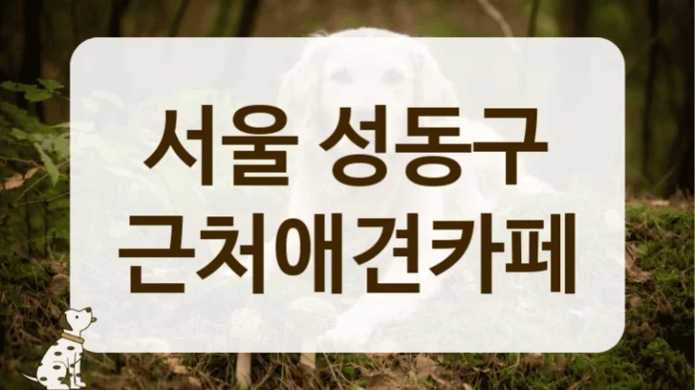 성동구 견종별 모임 하기 최적화된 애견카페 안내