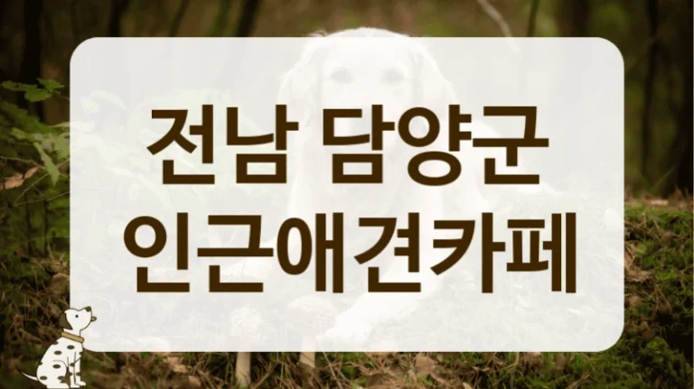 담양군 잔디밭 있는 애견카페 추천 리스트