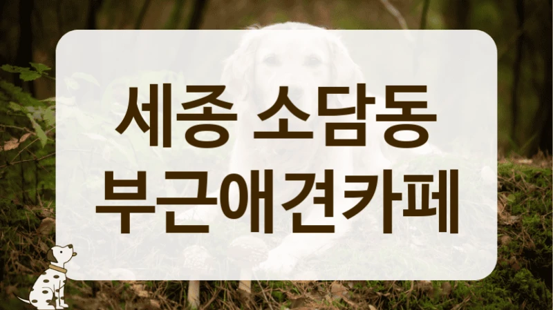 세종 소담동 시설 깔끔한 애견카페 정보