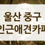 중구 근처 강아지 동반 나들이, 애견카페 이용 수칙