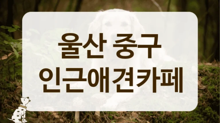 중구 근처 강아지 동반 나들이, 애견카페 이용 수칙 중구 근처 강아지 동반 나들이, 애견카페 이용 수칙