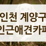 인천 계양구 초보 견주라면, 애견카페 필수 정보