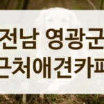 전남 영광군 반려동물 생일파티 장소 대관 및 카페