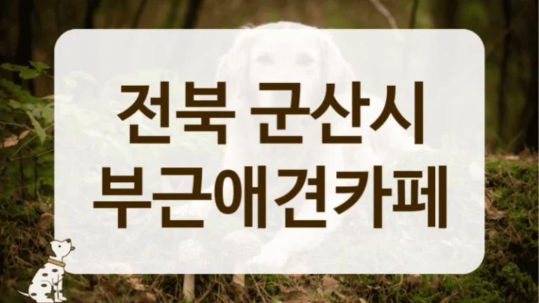전북 군산시 SNS에서 칭찬 자자한 애견카페 전북 군산시 SNS에서 칭찬 자자한 애견카페
