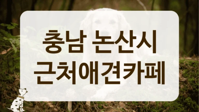 논산시 수술 후 산책 연습 하기 좋은 조용한 애견카페 추천