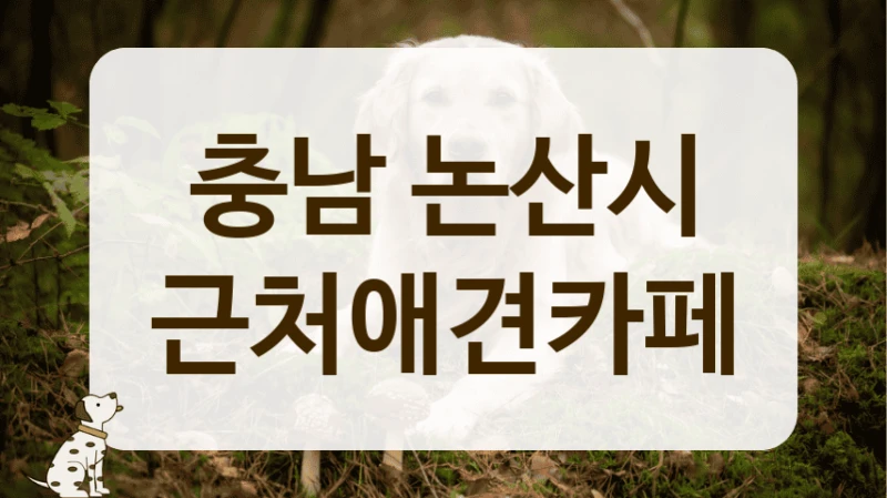 논산시 수술 후 산책 연습 하기 좋은 조용한 애견카페 추천
