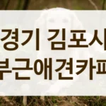 김포시 매너 있는 반려동물 전문 카페 정보