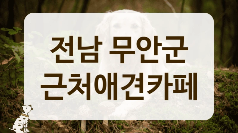 무안군 근처 강아지 동반 나들이, 애견카페 이용 수칙