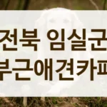 전북 임실군 시설 깔끔한 애견카페 안내