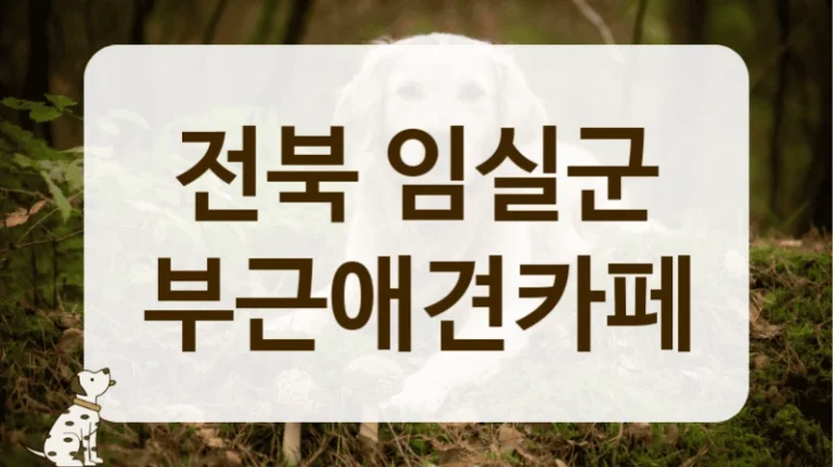 전북 임실군 시설 깔끔한 애견카페 안내