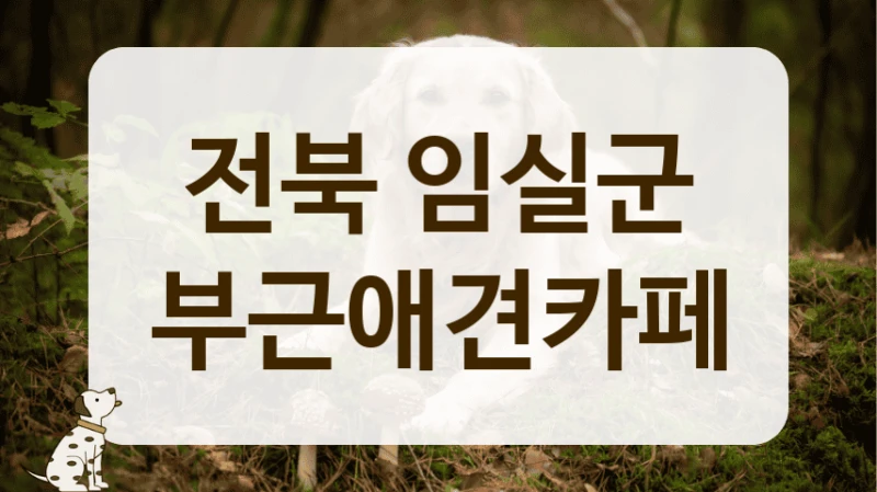 전북 임실군 시설 깔끔한 애견카페 안내