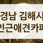 경남 김해시 동물등록증 확인 애견카페 안내