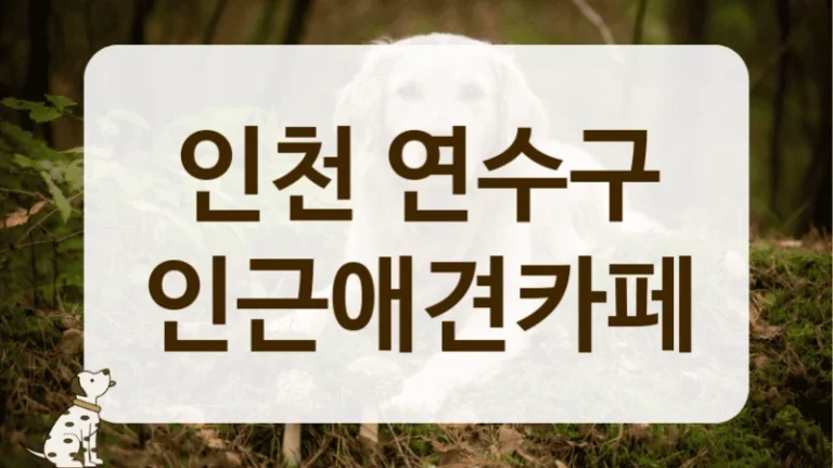 인천 연수구 반려동물 생일파티 장소 대관 및 카페