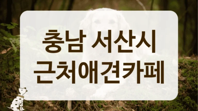 충남 서산시 커뮤니티에서 칭찬 자자한 애견카페