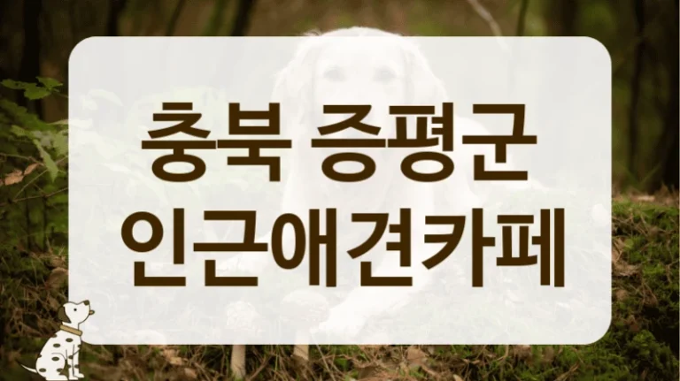 충북 증평군 사진 찍기 좋은 강아지 카페 추천 충북 증평군 사진 찍기 좋은 강아지 카페 추천