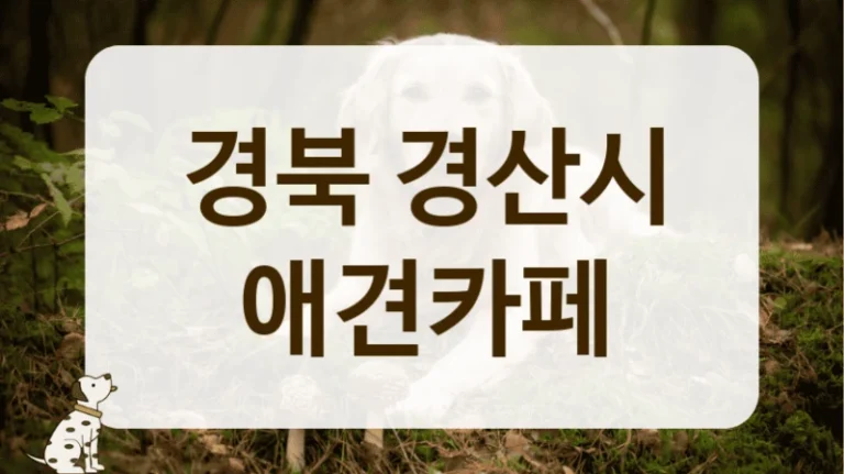 경산시 늦게까지 운영하는 야간 애견카페 안내