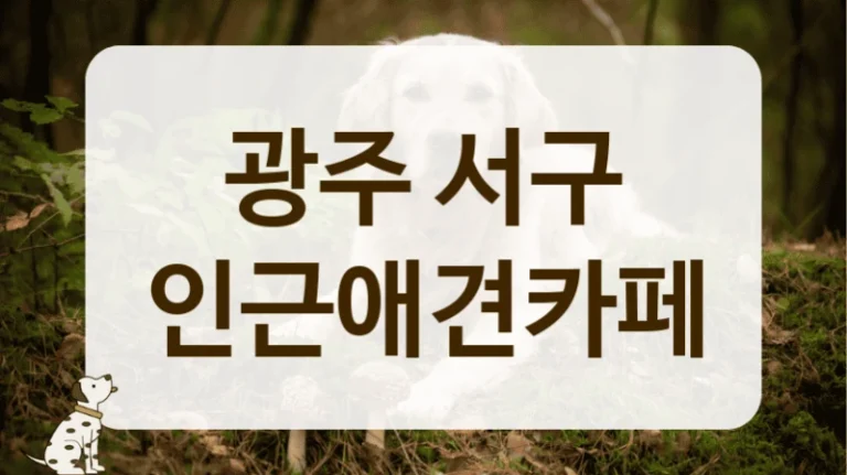 서구 우리 동네 깨끗한 애견카페 이용안내