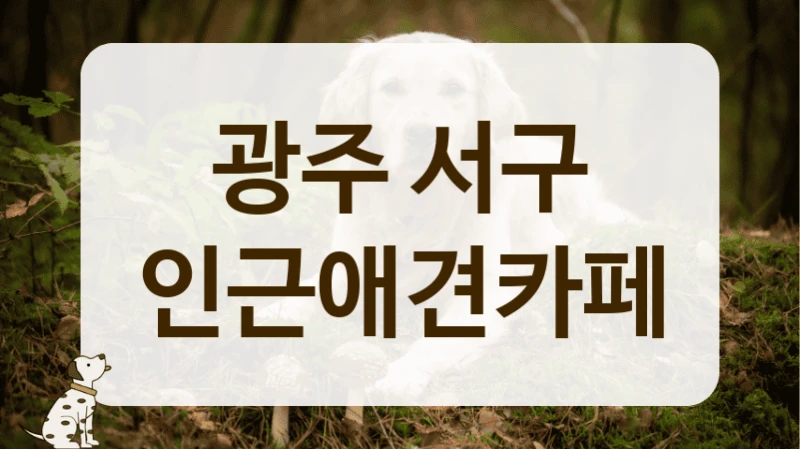 서구 우리 동네 깨끗한 애견카페 이용안내