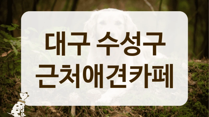 대구 수성구 편안한 분위기 애견카페 추천