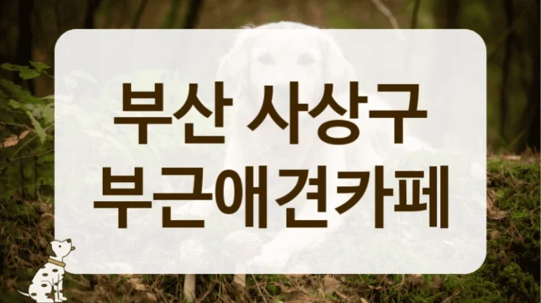 부산 사상구 반려견 인생샷 애견카페 추천 및 안내